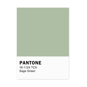 Sage Green & Pink Canvas Posters